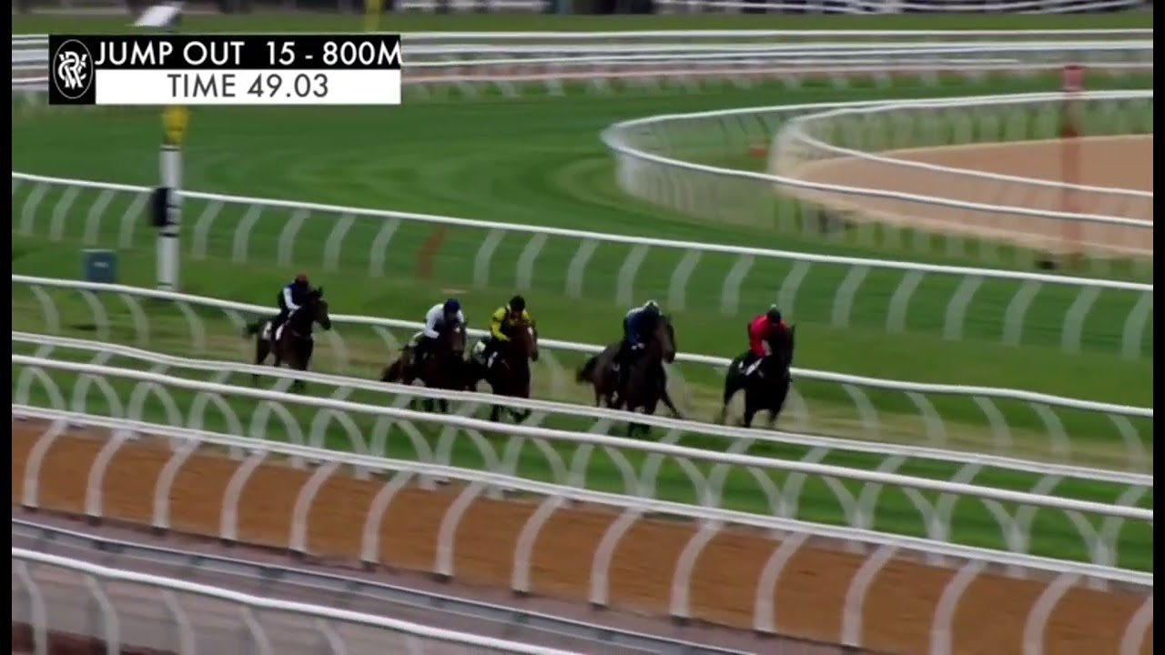 東方寶寶 J309 澳洲試閘勝出 (白衫白袖黑帽) 2023/11/17