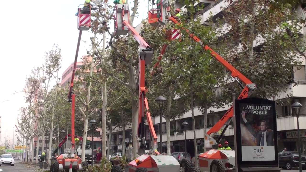 PLATAFORMA ELEVADORA PARA PODA ME12SL. PODA INTENSIVA