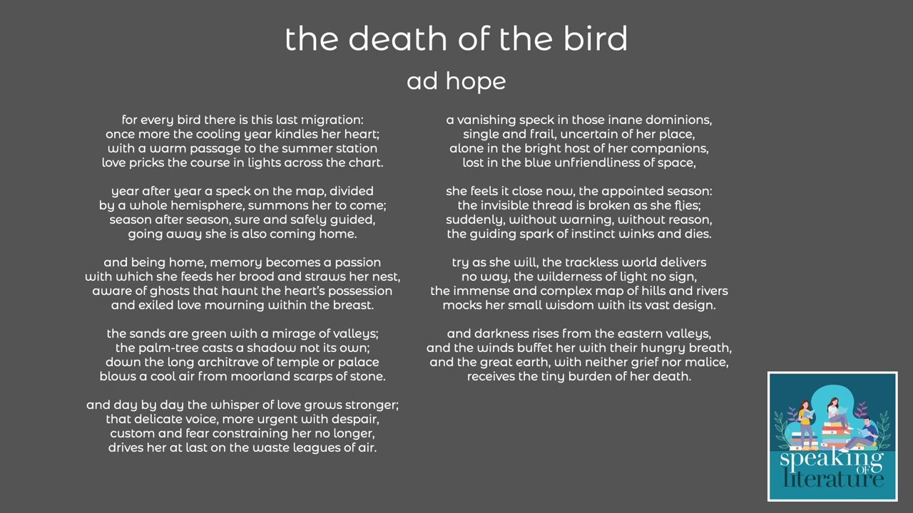ad hope - the death of the bird