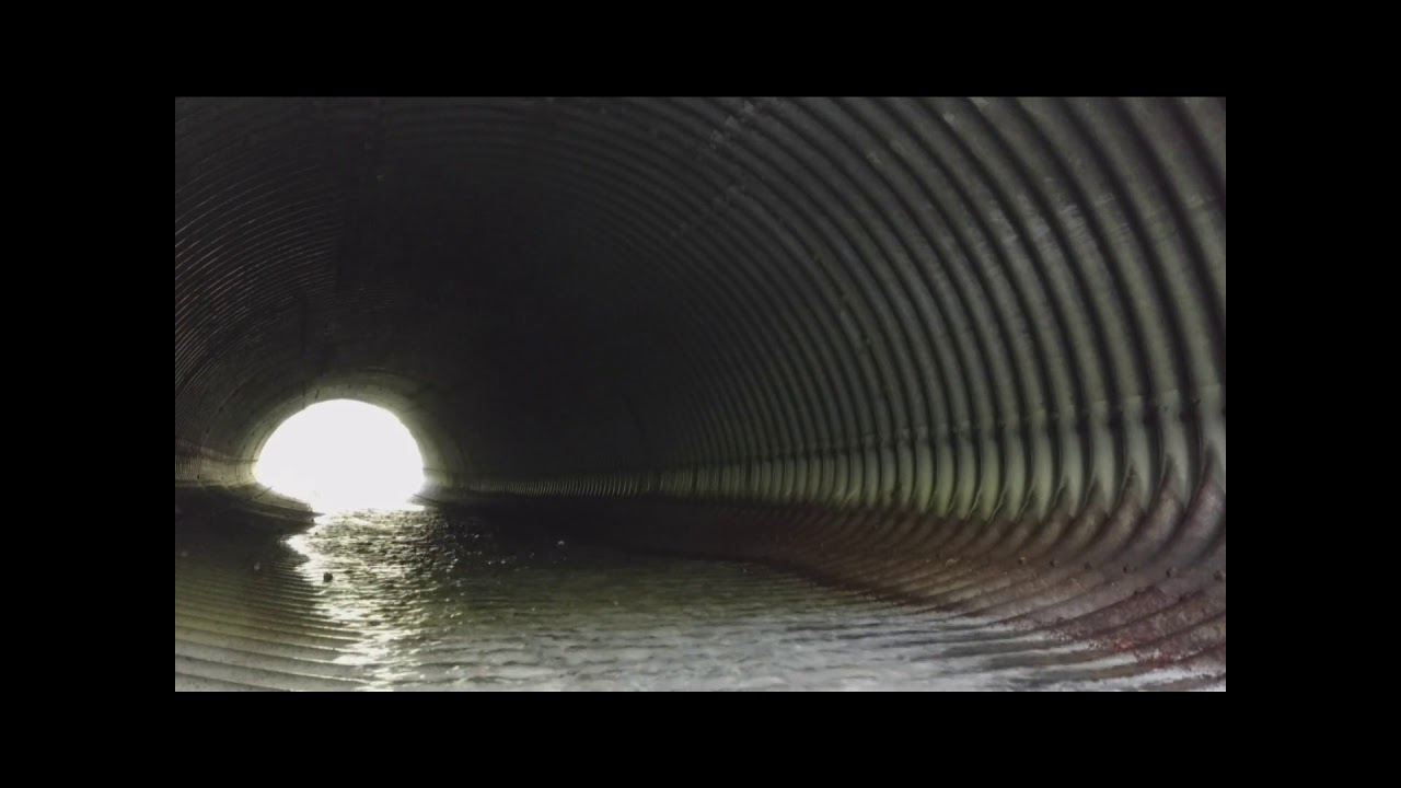 Impromptu recording of didgeridoo, flute, and overtone singing in echoey culvert at Indidjinus 2018