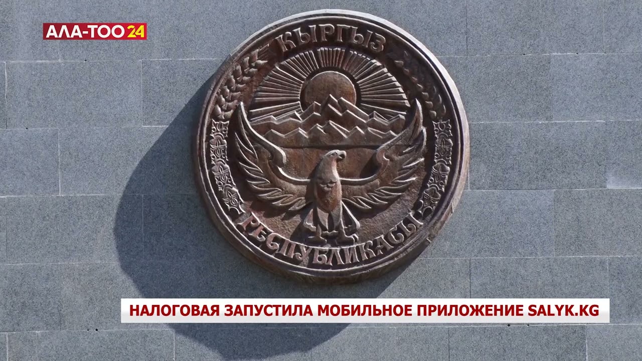 Налоговая запустила мобильное приложение Salyk.kg