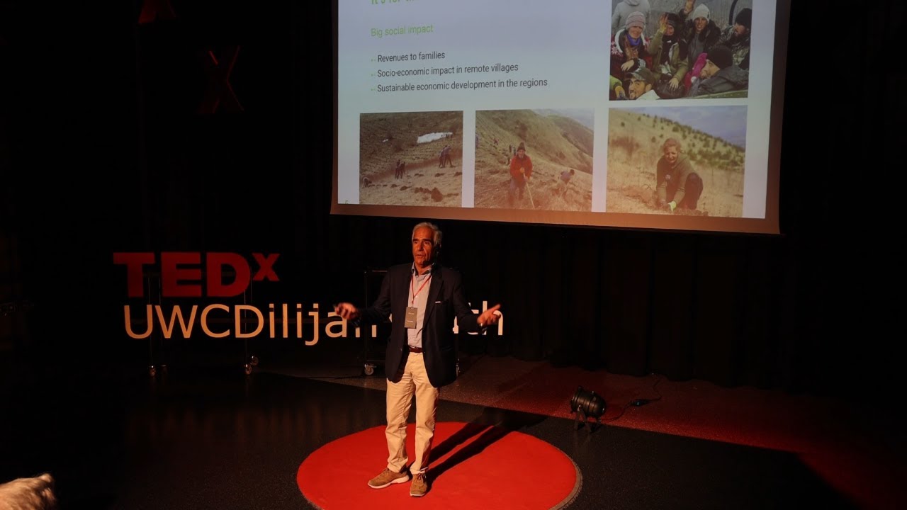 The challenges of large-scale reforestation | André Gumuchdjian | TEDxUWCDilijan Youth