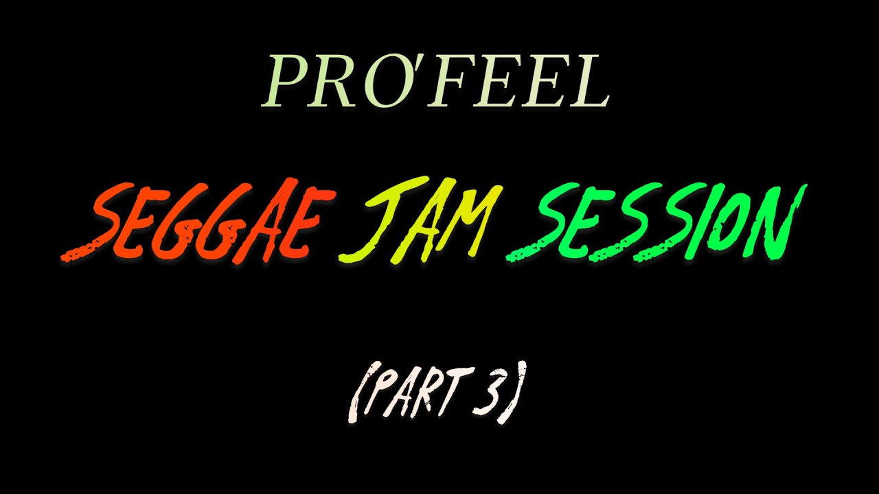 SOUL SEGGAE COVER BY CHRISTELLE ZAMIR
