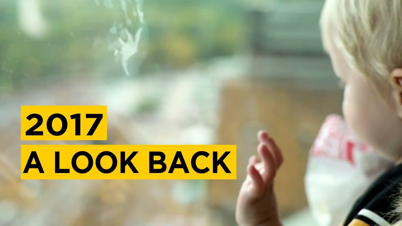 2017: A Look Back
