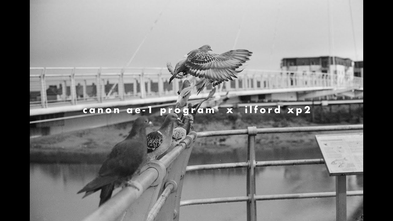 Canon AE1 Program with Ilford XP2 Super 400