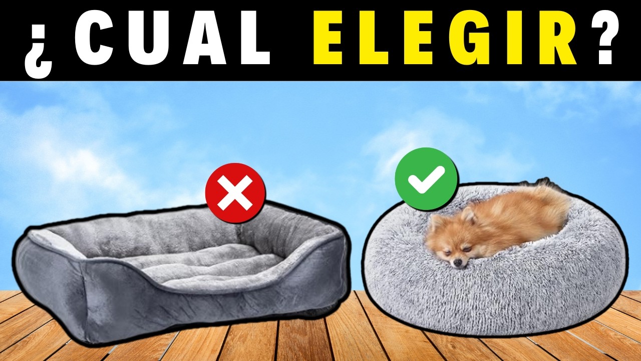 👉 Las 7 MEJORES CAMAS PARA PERRO de 2026 🐶💤 CALIDAD PRECIO
