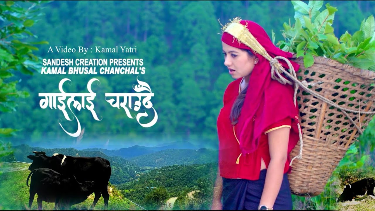 गाईलाई चराउँदै ऐतिहासिक मौलिक लोक गीत Gailai Charaudai #kamalyatri #gailaicharaudai Kamal Yatri song