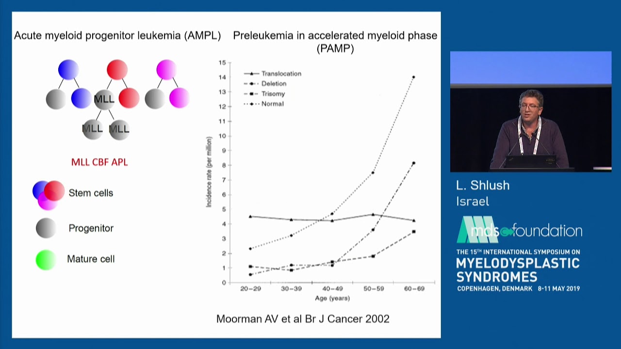 The Origin of Relapses MDS/AML - L Shlush