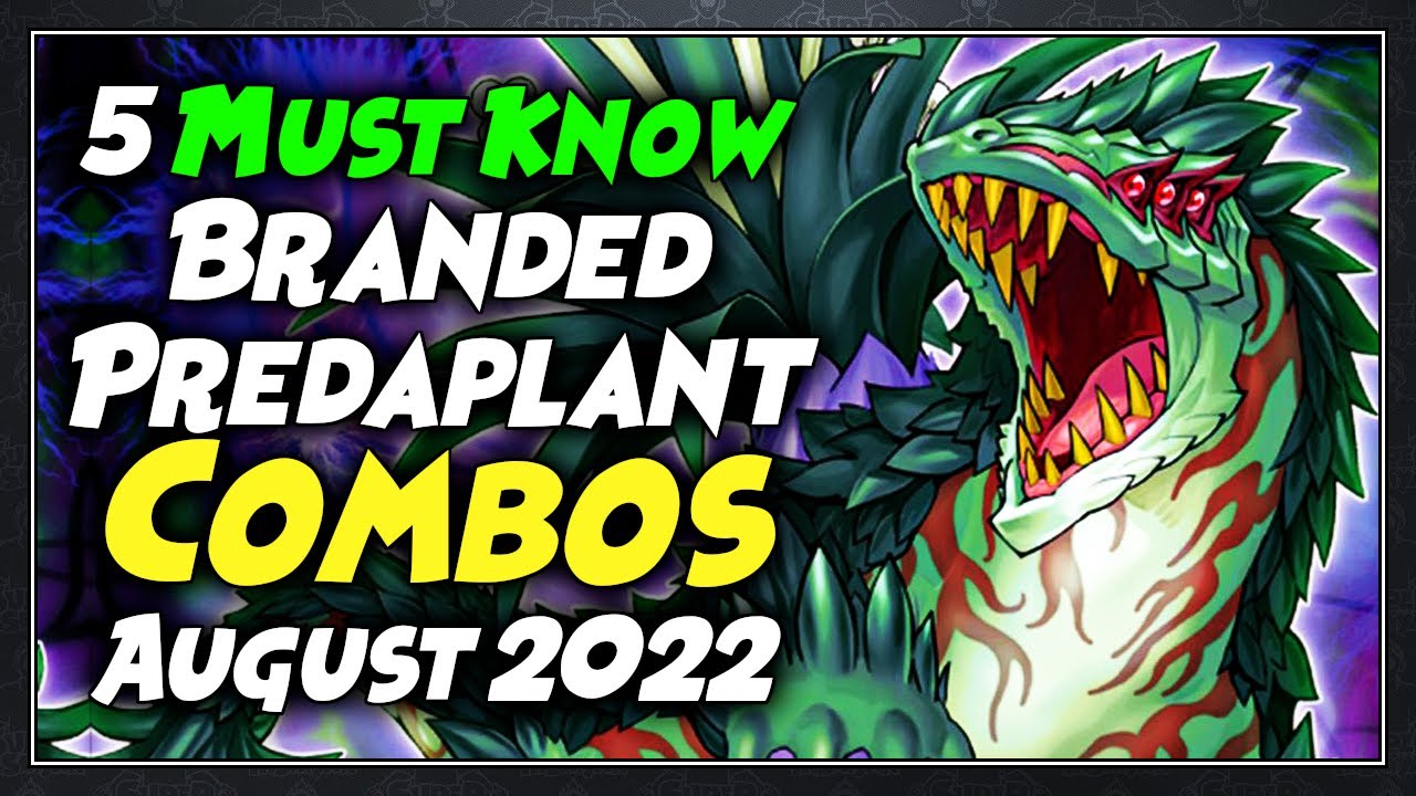 5 Branded Predaplant MUST KNOW Combo Tutorial | August 2022| Yu-Gi-Oh!