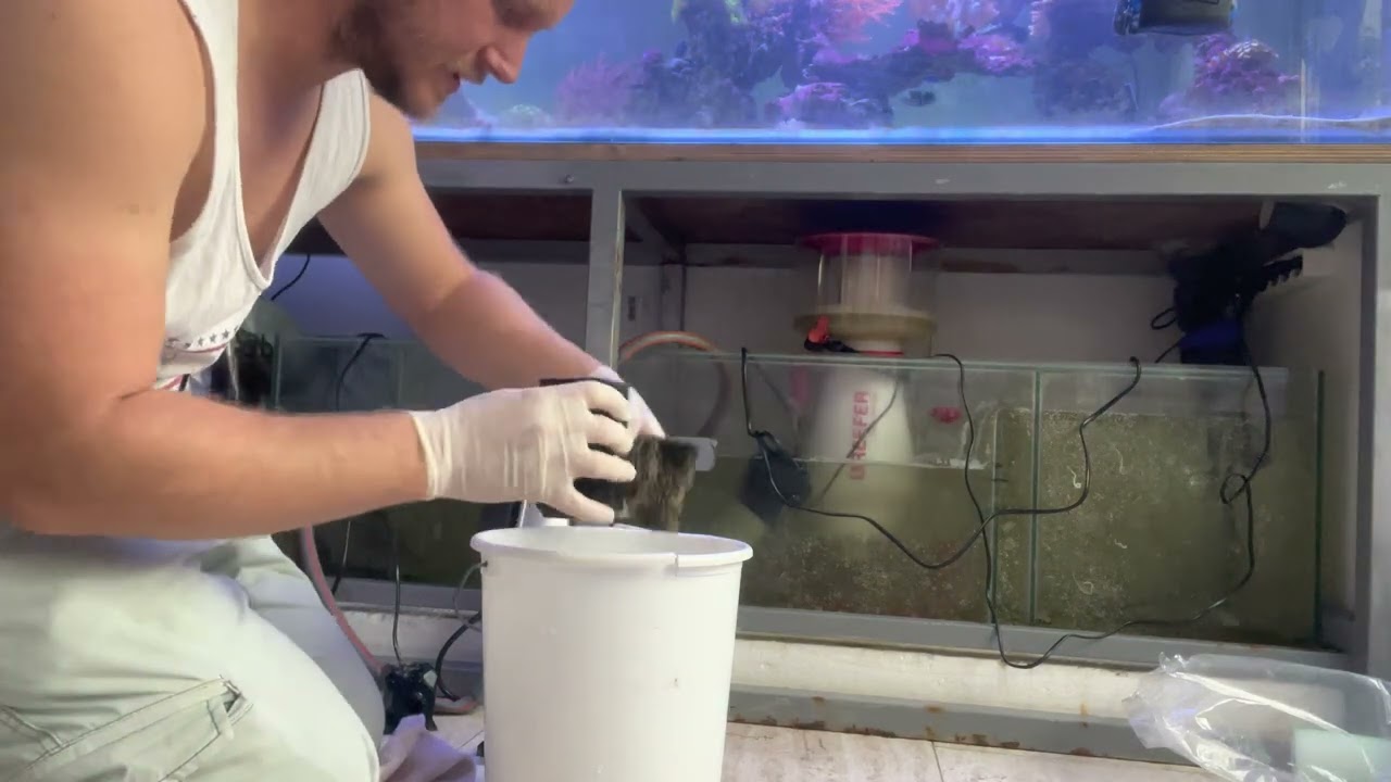 Technikbecken S&auml;ubern, das 1000Liter Meerwasserbecken Projekt