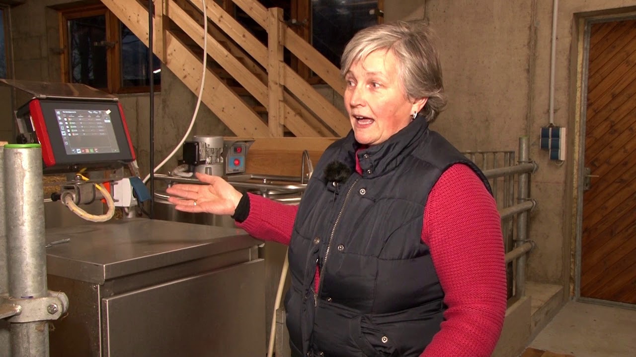 Tierwohl Rind Trinken soviel schmeckt