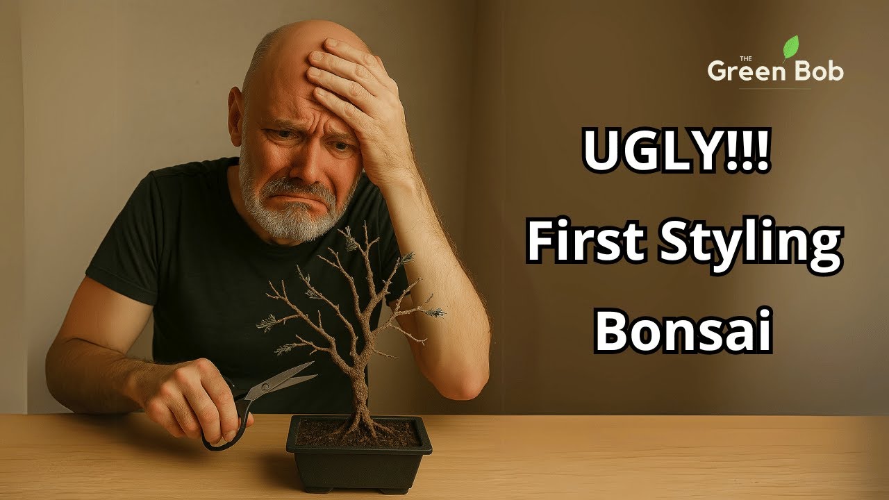 Temple Juniper Bonsai – First Styling Gone Wrong? Wiring, Pruning & Cuttings