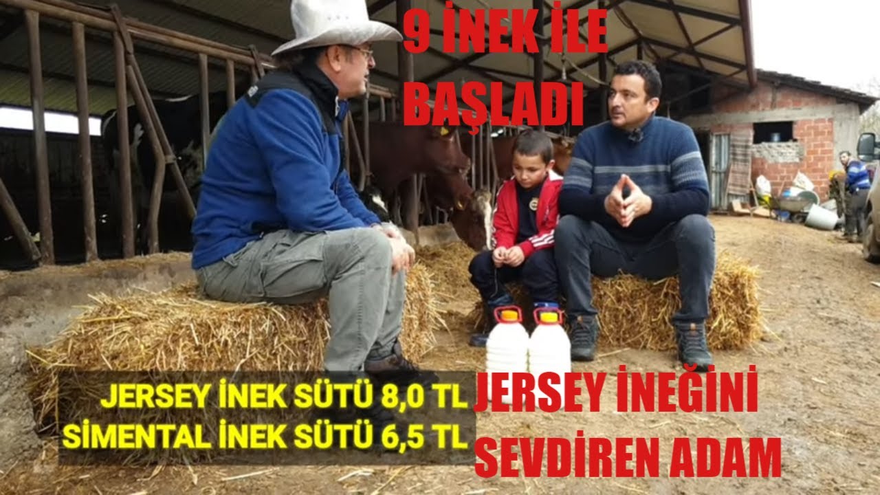 HERŞEY 9 İNEKLE BAŞLADI | JERSEY İNEK SÜTÜYLE PARAYI BULDU | PERAKENDE İNEK SÜTÜNDE PARA VAR