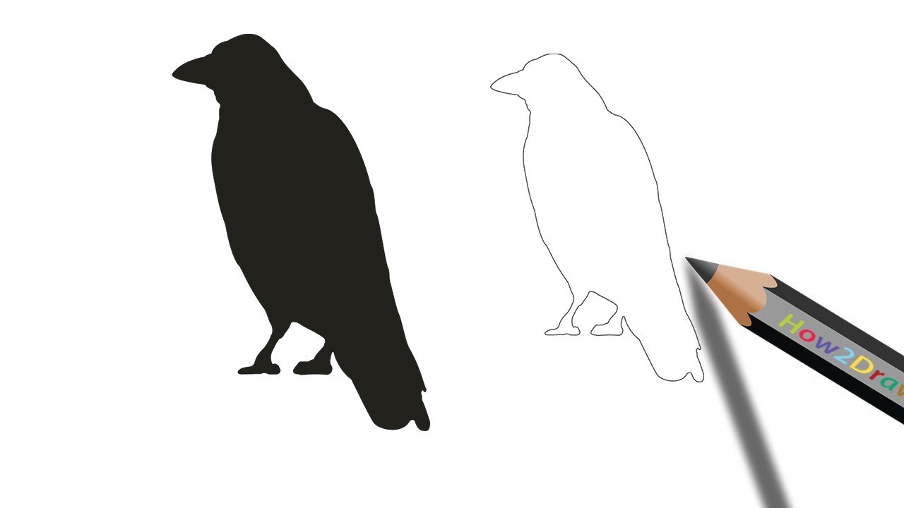 How to Draw a Crow Step by Step Easy Drawing - Coloring