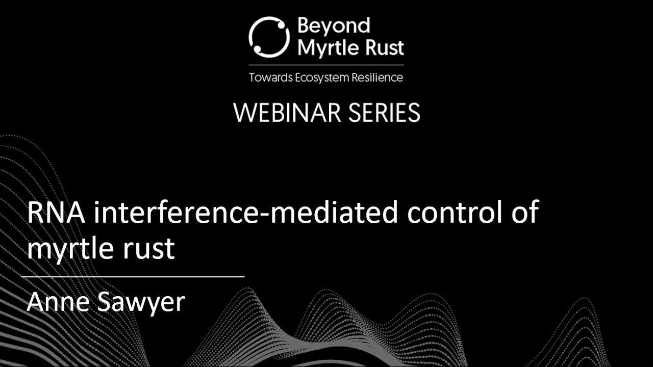 Beyond Myrtle Rust - RNA interference-mediated control of myrtle rust