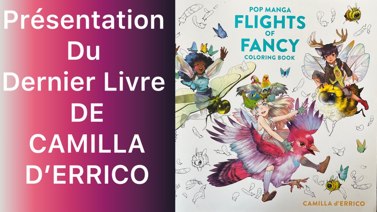 Présentation du dernier livre de CAMILLA D’ERRICO :POP MANGA FLIGHTS OF FANCY