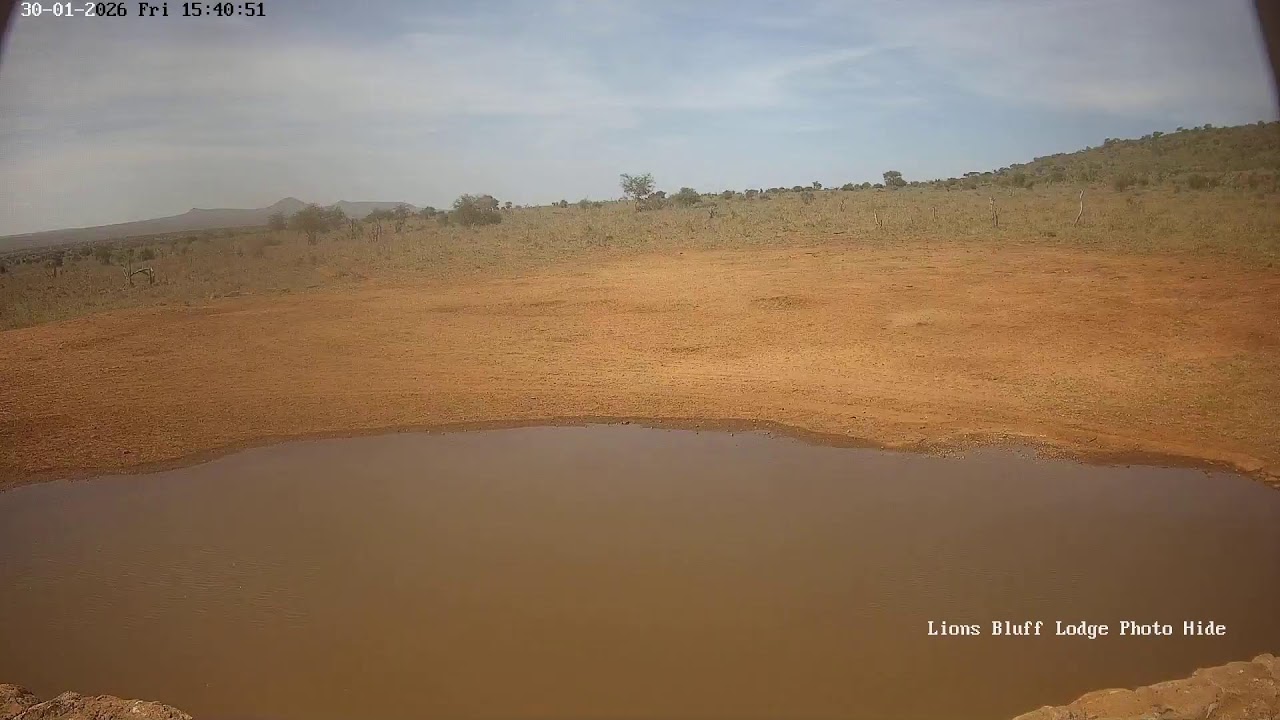 Lions Bluff Lodge Photo Hide - Live Stream