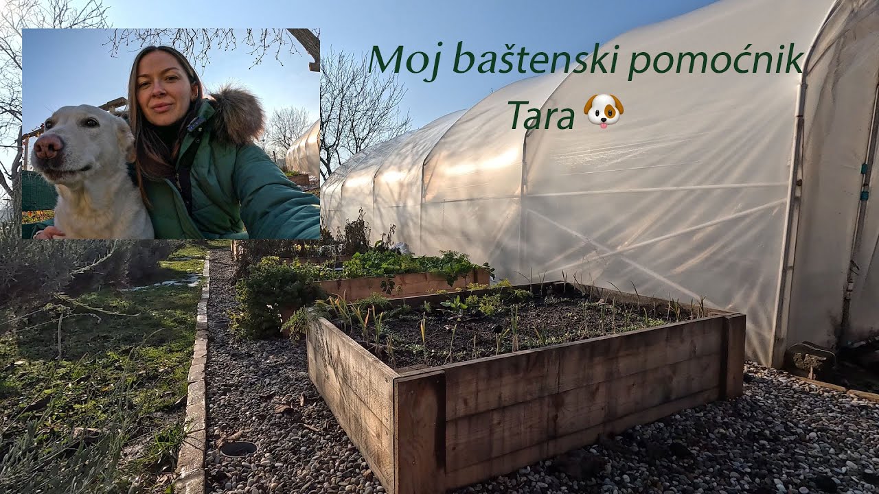 Kako izgleda bašta tokom zime | Priroda u mirovanju |