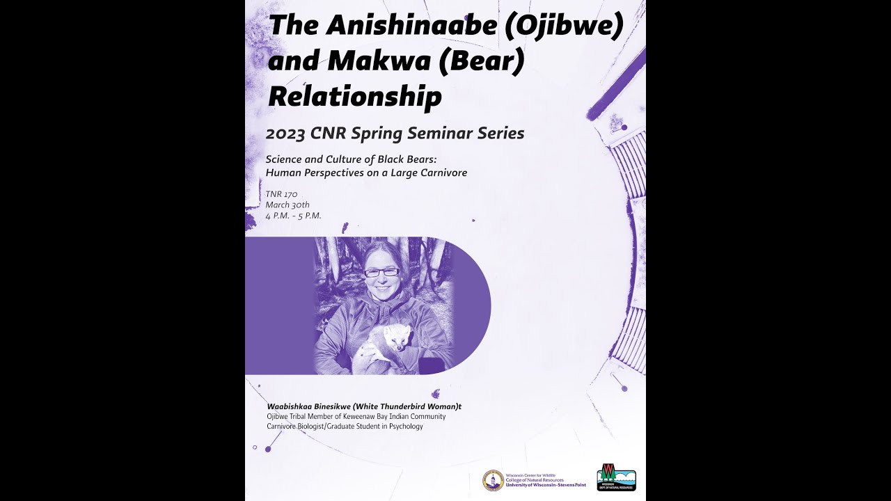 The Anishinaabe (Ojibwe) and Makwa (Bear) Relationship