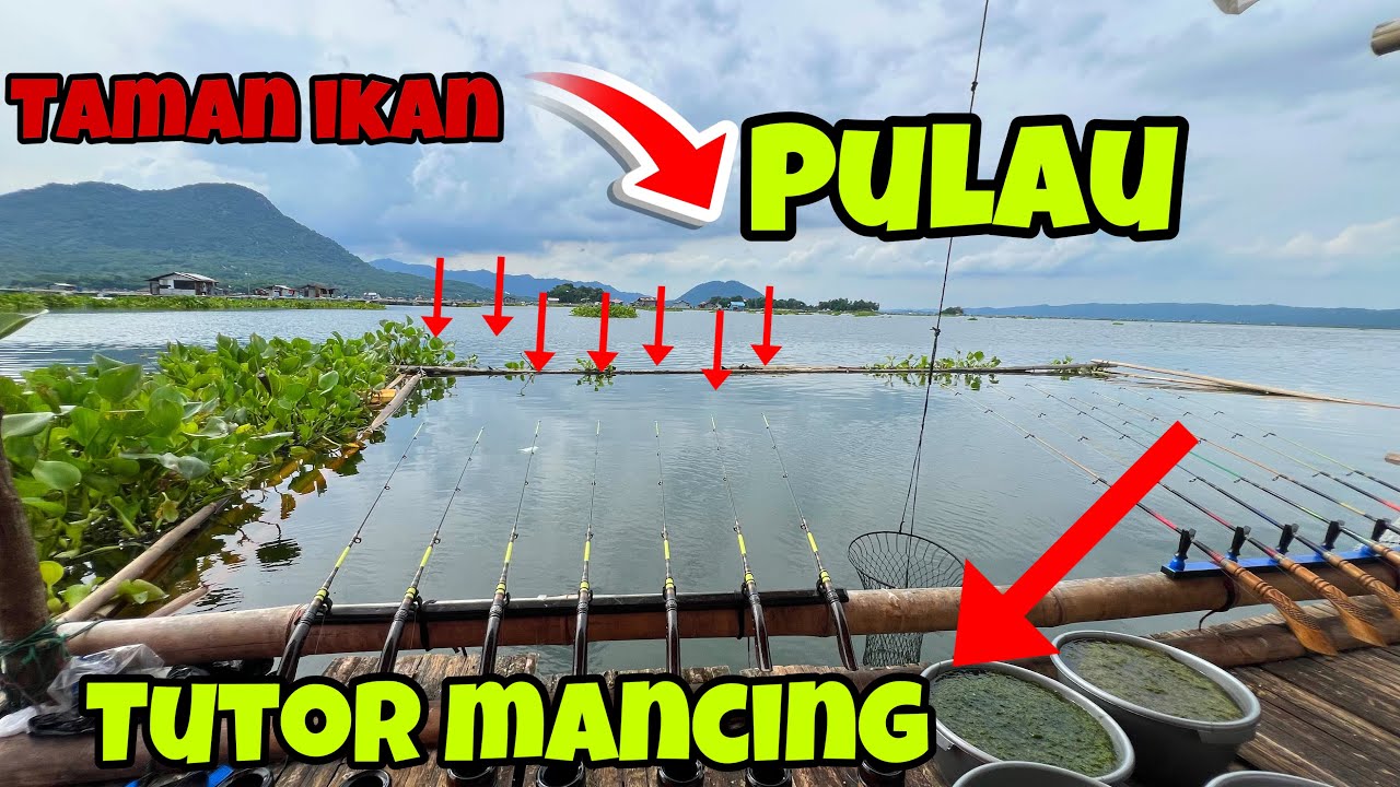 TUTORIAL MANCING PALING SIMPLE