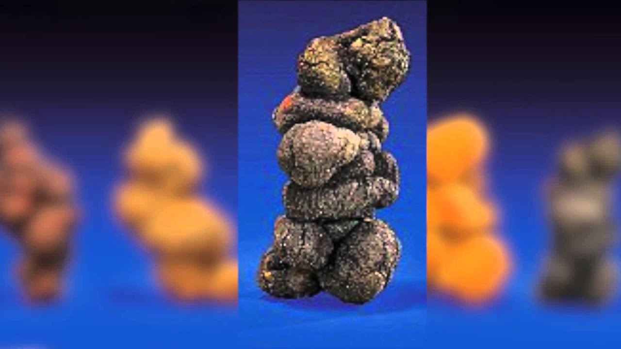 Want to Buy Fossilized Dinosaur Poop?