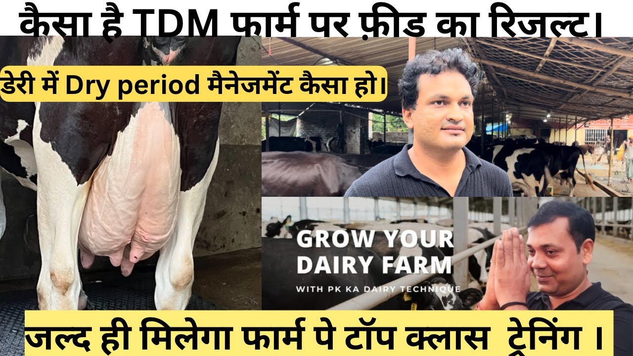 अब बिहार  में मिलेगा जबरदस्त फ़ीड और TDM फार्म, मोकामा में  तकनीकी ट्रेनिंग । @pkkadairytechnique