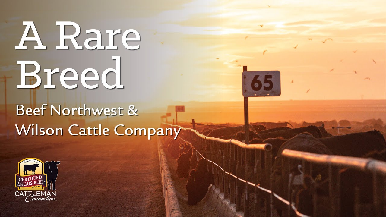 The Wilson Family – Wilson Cattle Company & Beef Northwest, Oregon – Beyond a buzzword