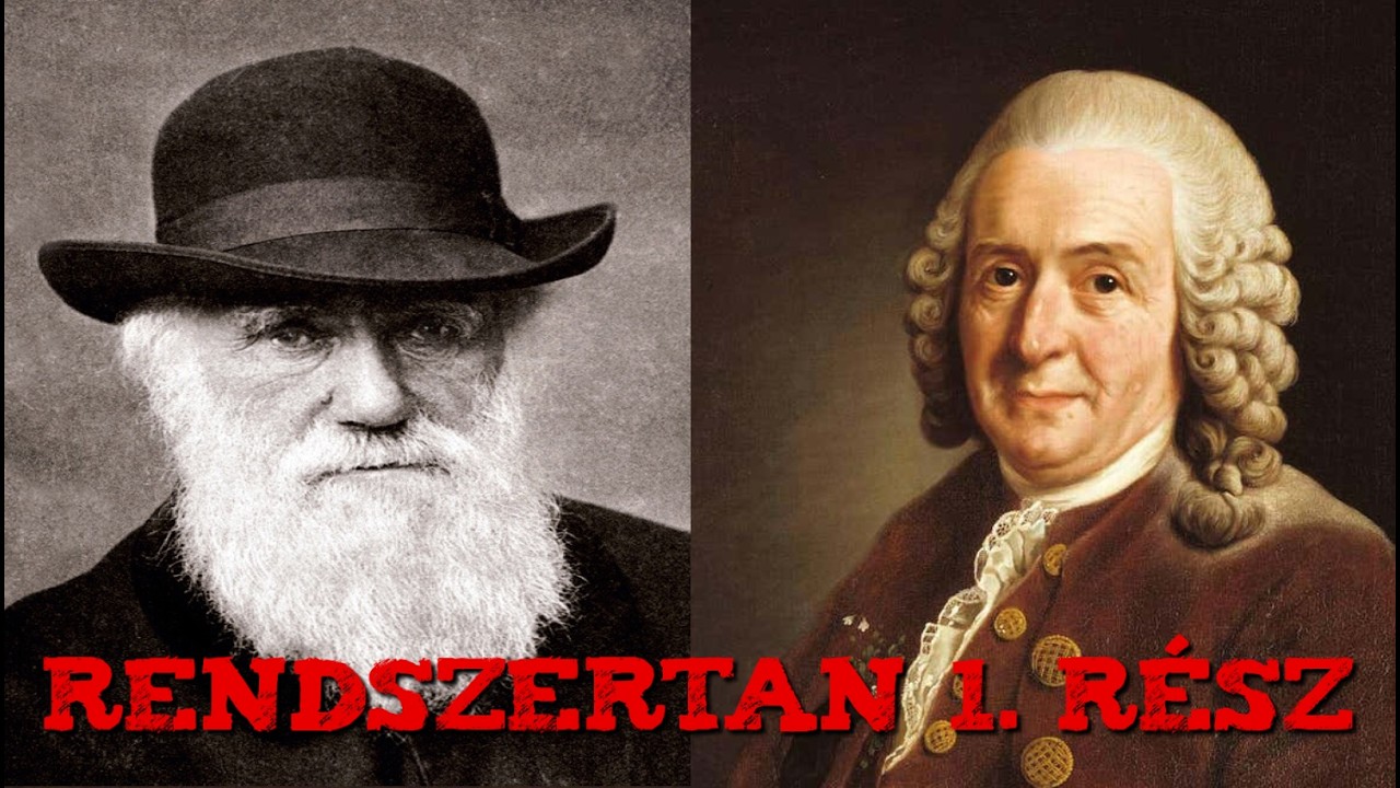 Rendszertan 1. Rész: Mi is az a Taxonómia?