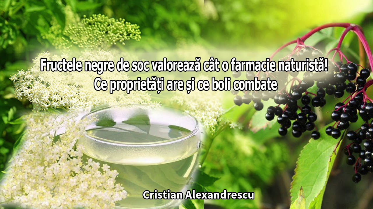 Fructele Negre De Soc Valoreaza Cat O Farmacie Naturista! Ce Proprietati Si Ce Boli Combat