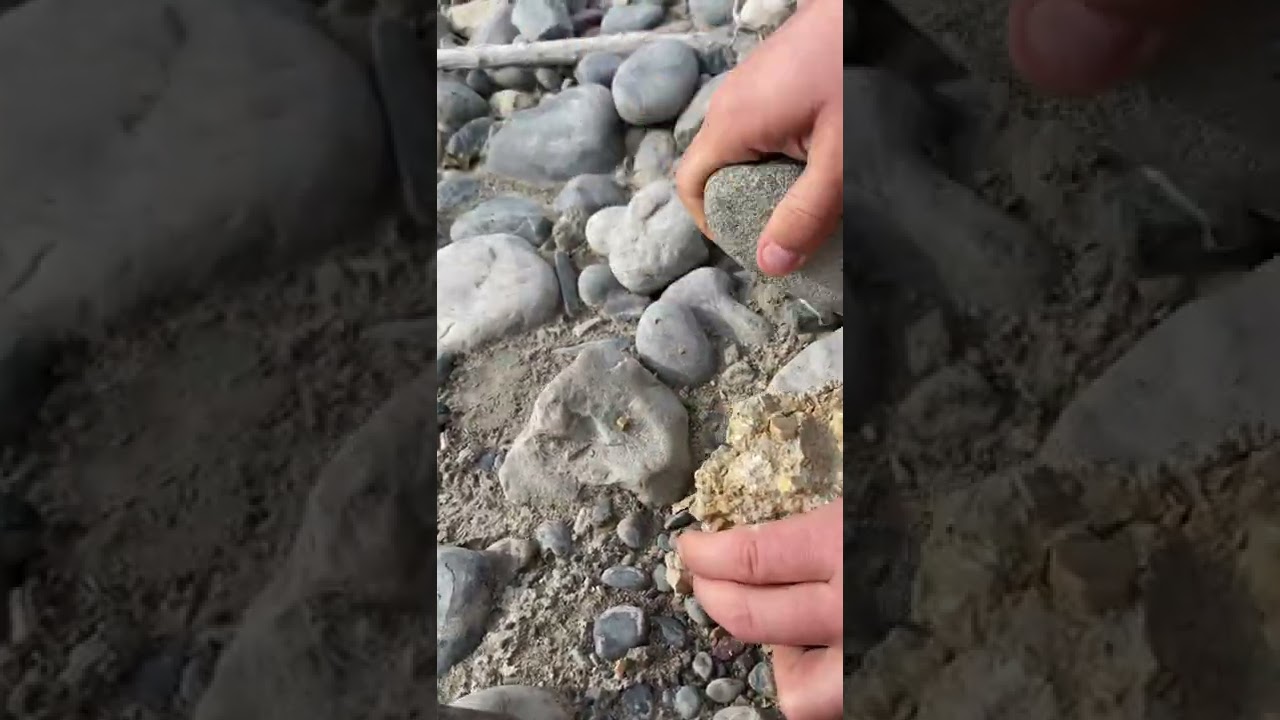 EXTRACTING A HEXAGONAL CRYSTAL. #short #cool #nature #rock #rockhounding #shorts #gems #gemhunter