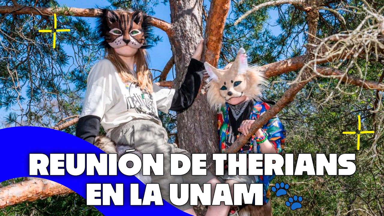 Hoy simulacro nacional, reunión de Therians en la UNAM y Afganistán legaliza violencia familiar 🚨🌎🐾