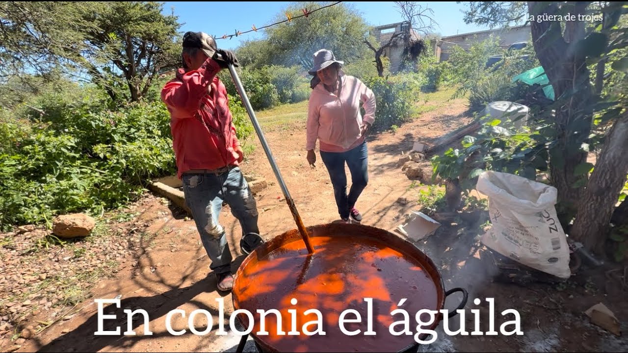Mole de rancho 