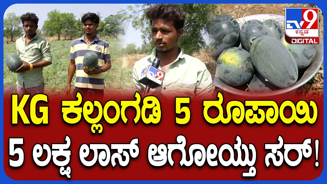 War Effect: ಯುದ್ಧ ಎಫೆಕ್ಟ್.. ಪಾತಳಕ್ಕೆ ಕುಸಿದ ಕಲ್ಲಂಗಡಿ ಹಣ್ಣಿನ ಬೆಲೆ.. ಅನ್ನದಾತ ಕಂಗಾಲು! | #TV9D