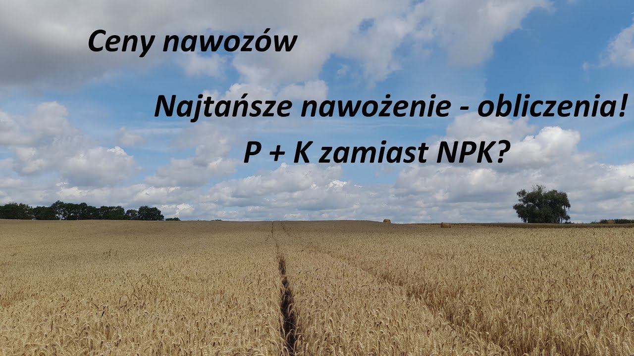 Ceny nawozów - Co stosować? Fosfor + Potas zamiast wieloskładnika? Obliczenia rozwiązań nawozowych