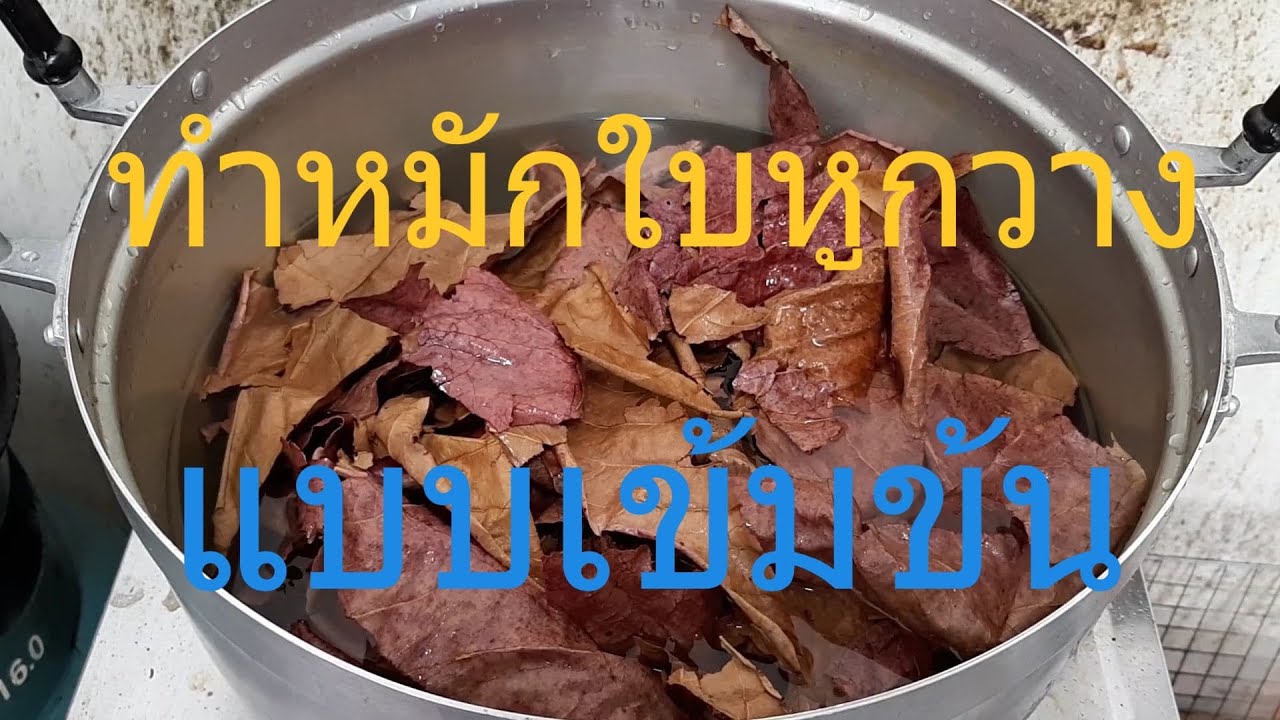 น้ำหมักใบหูกวาง แบบเข้มข้น