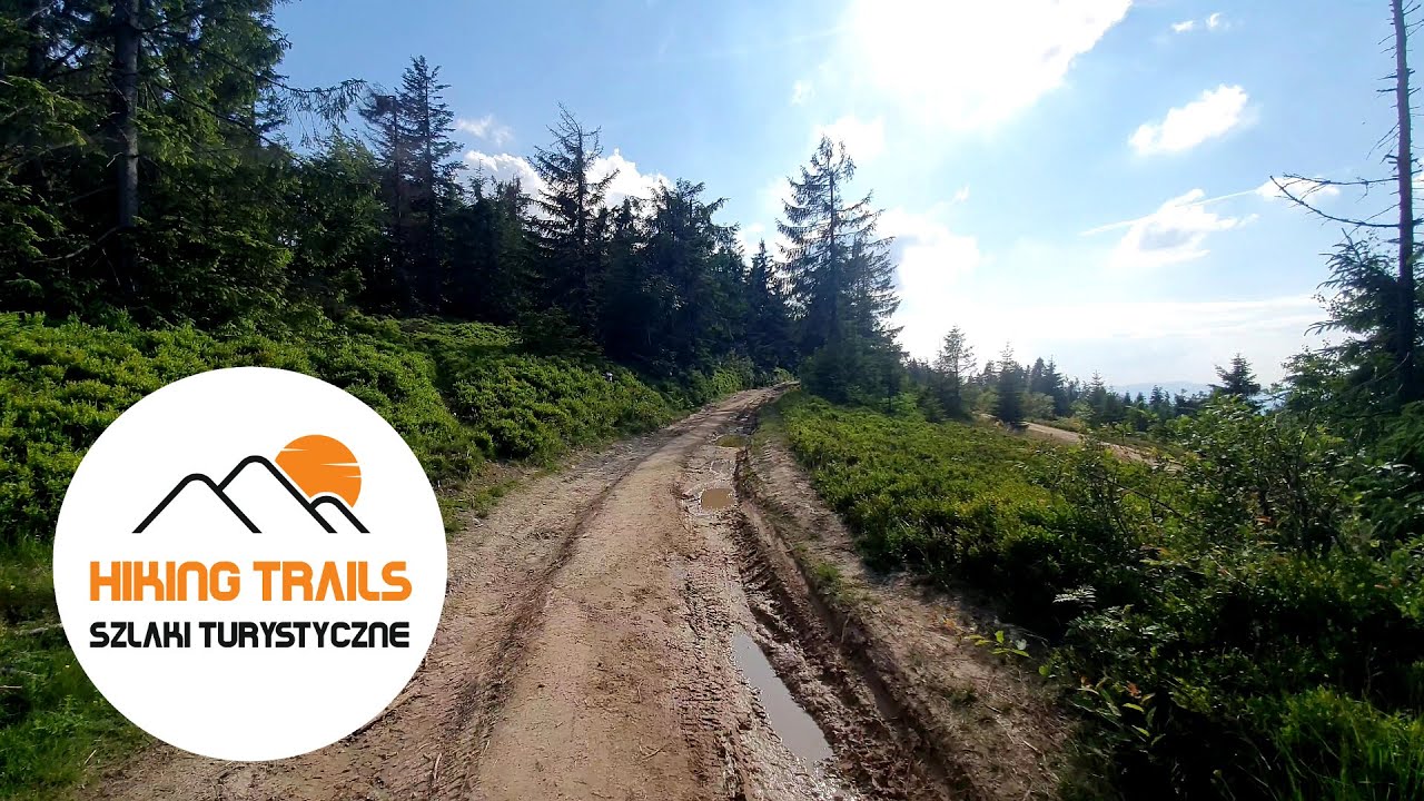 🇵🇱 Gorce: BUKOWINA MIEJSKA / Gorce Mountains: BUKOWINA MIEJSKA MOUNTAIN