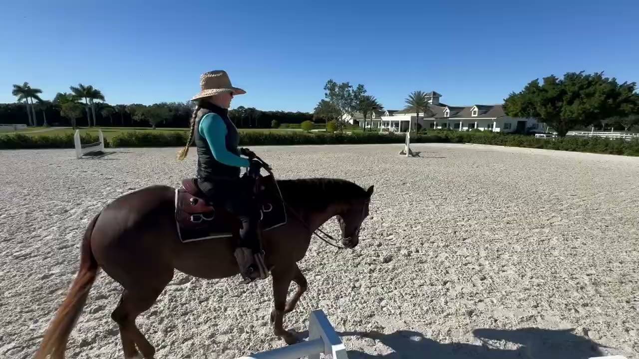 Samantha Lyster & Judge