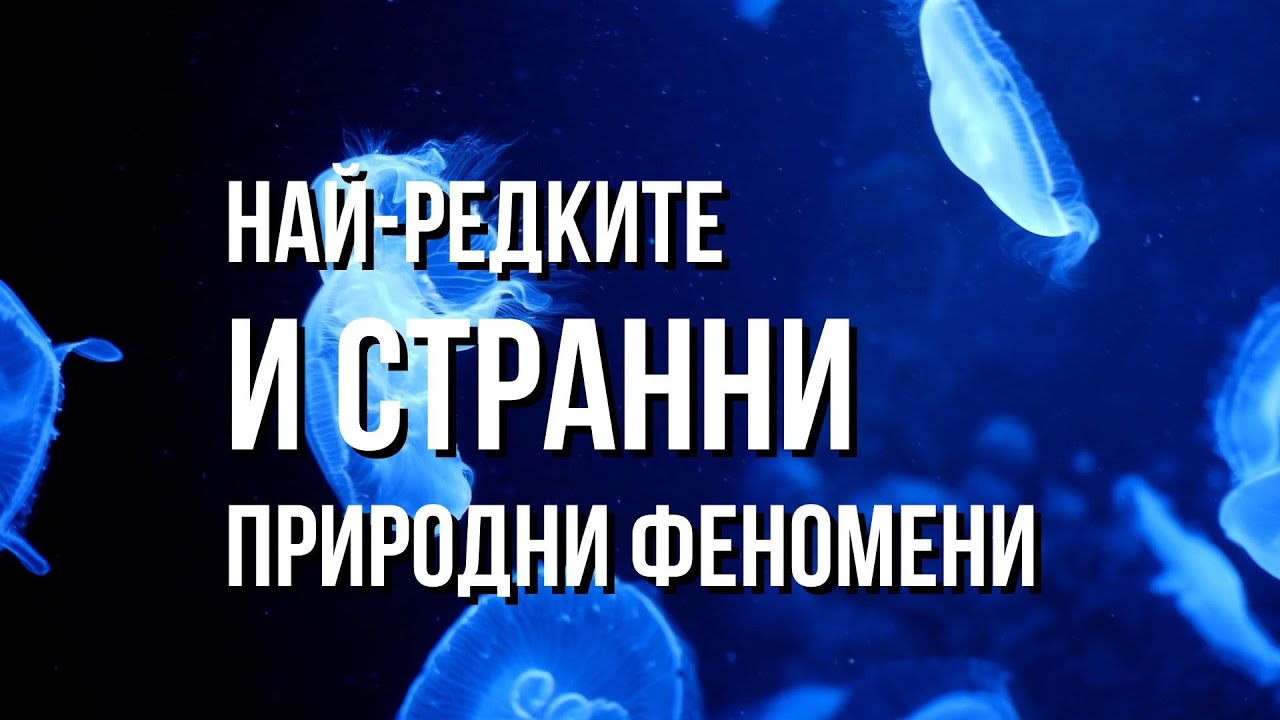 Най-редките и странни природни феномени
