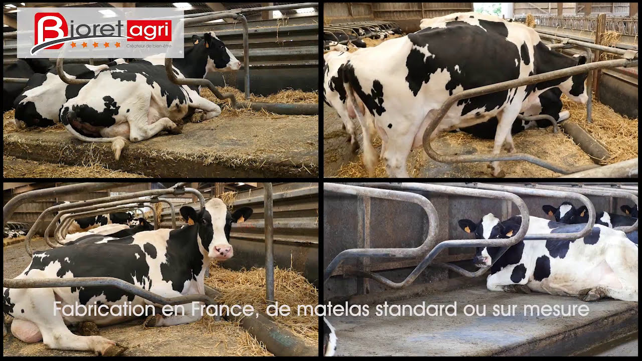 BIORET AGRI l&rsquo;unique fabricant de matelas pour vache en France.