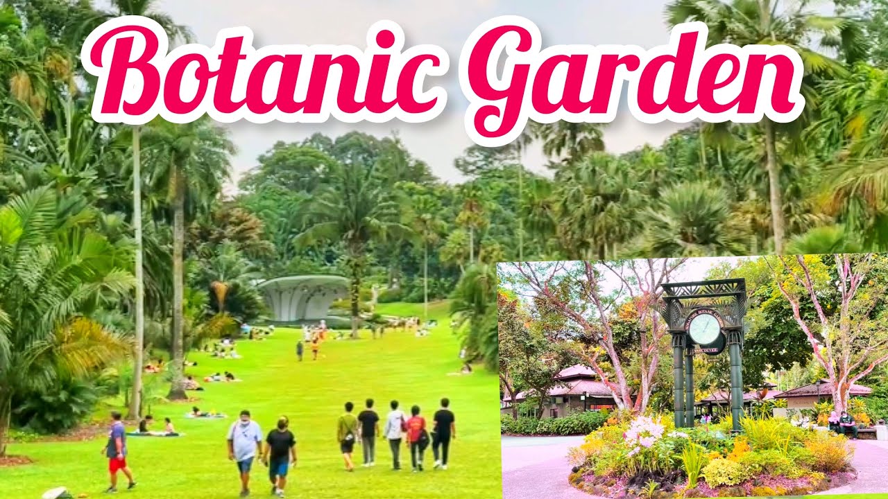 Singapore Walking Tour Botanic Garden || Botanic Garden Singapore || Tuoi Singapore
