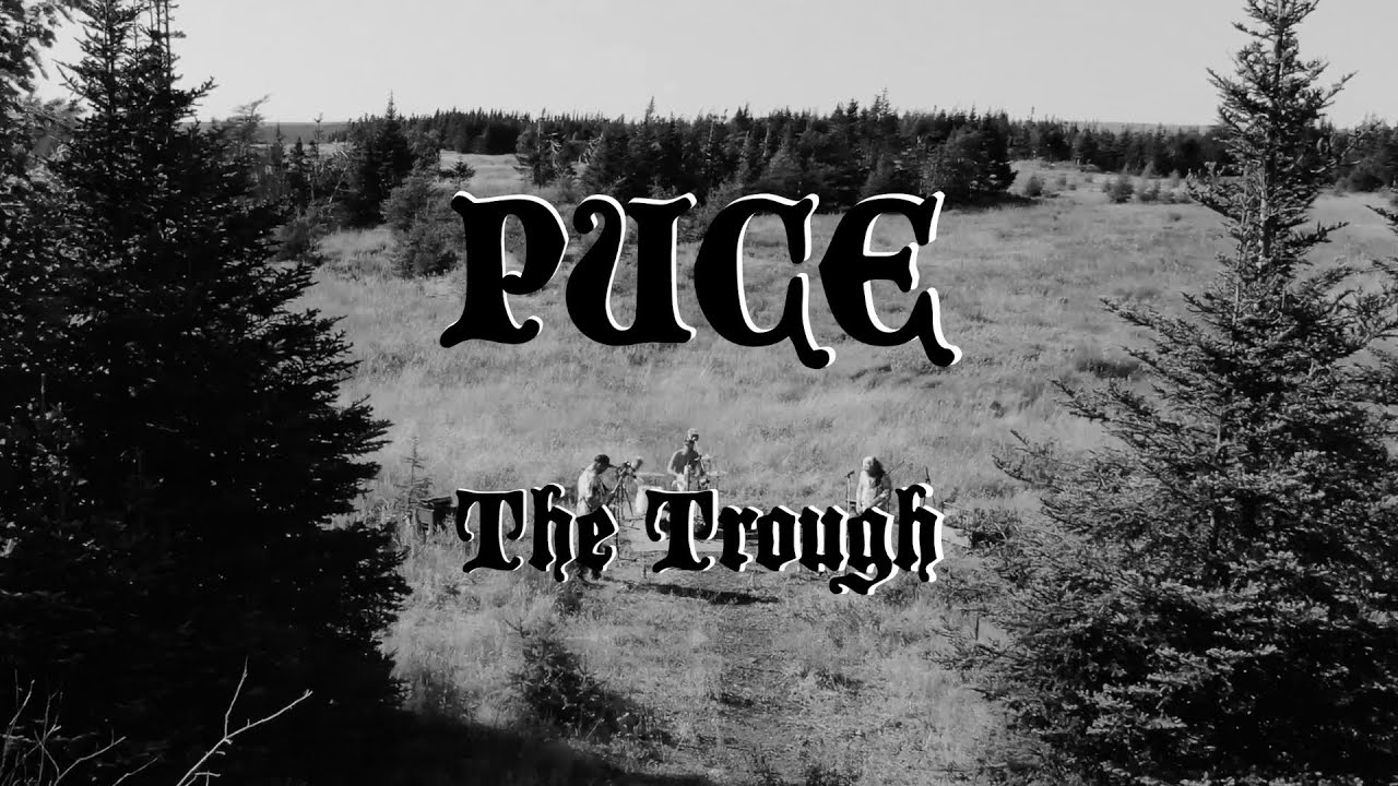 PUCE - dragonfly sessions