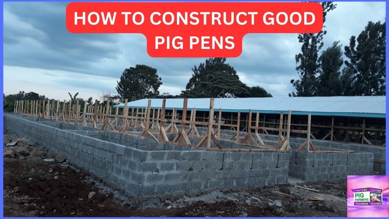 HOW TO CONSTRUCT GOOD PIG PENS || MUTHONI THE PIG FARMER