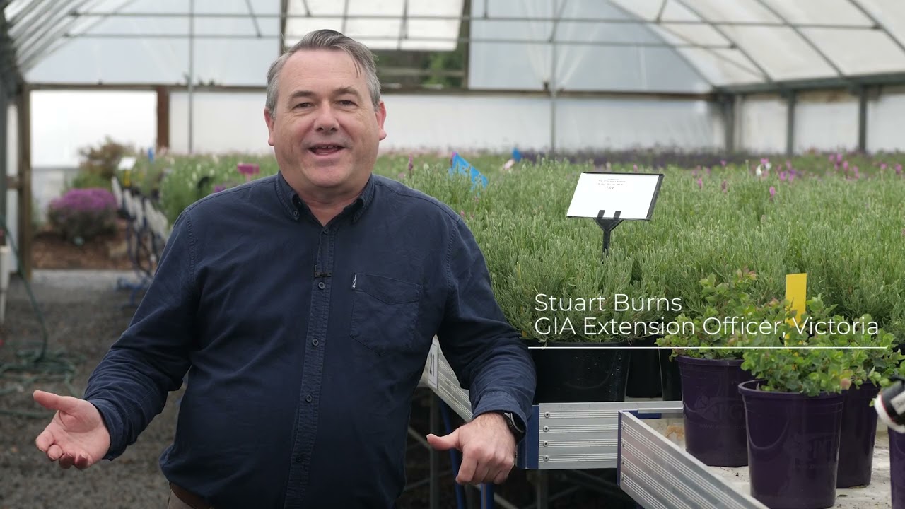Case study: Plant Growers Australia
