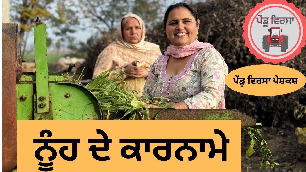 ਨੂੰਹ ਦੇ ਕਾਰਨਾਮੇ ep 147 | new punjabi movie 2024 | punjabi natak | Sukhpal | @PenduVirsaMansa