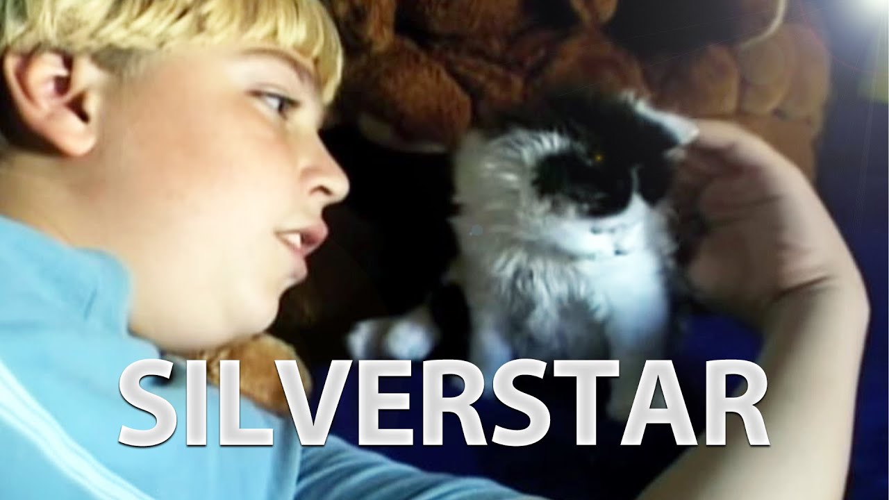 Silverstar — Это чудо