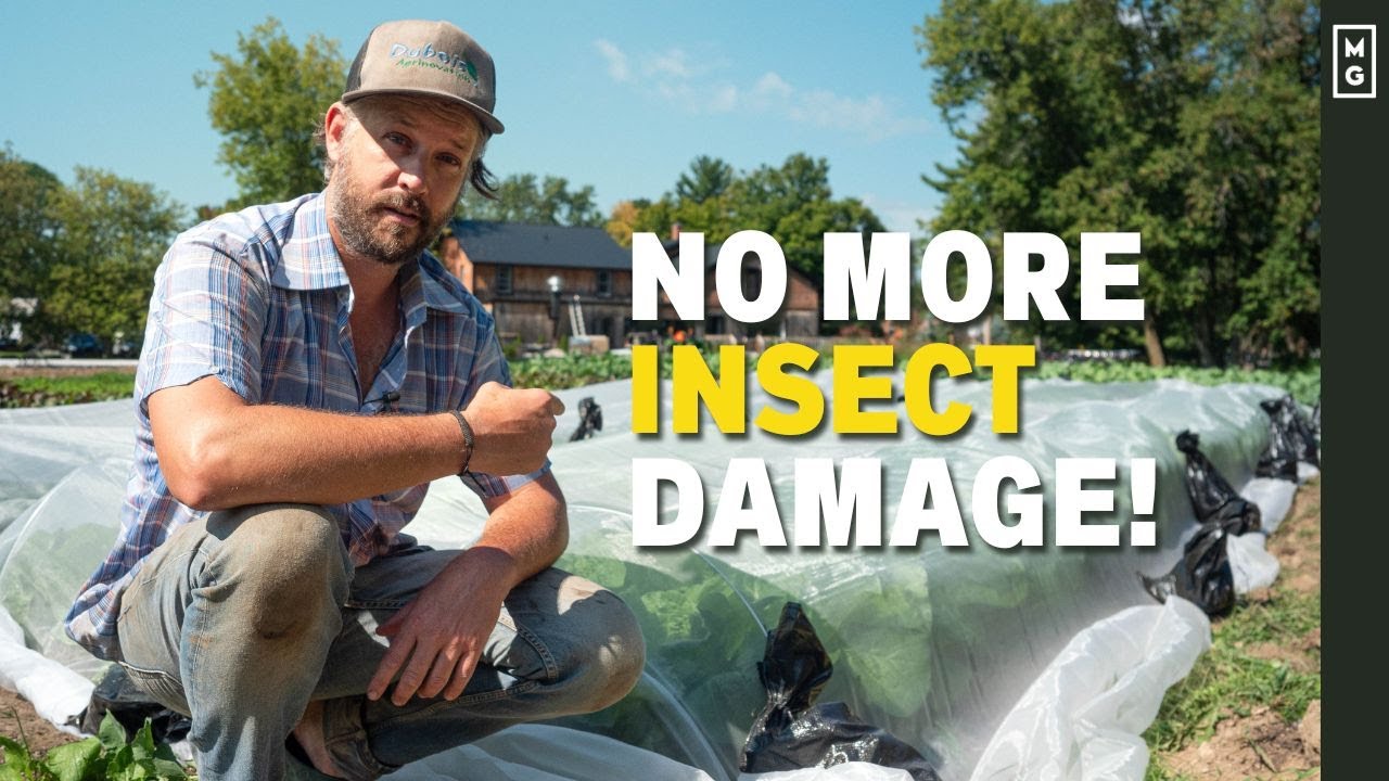 How To Keep Pests Out Of The Garden | Eco-Friendly And Easy Method!