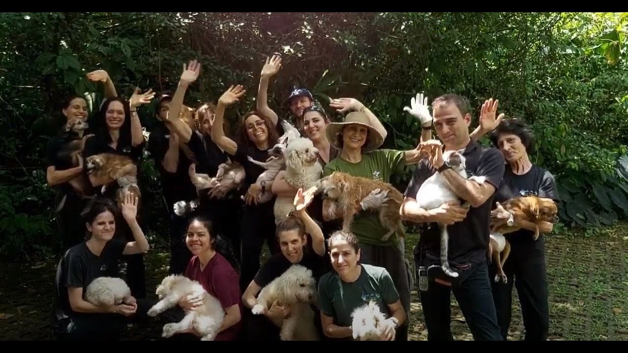 Animal Rescue Center In Emergency!