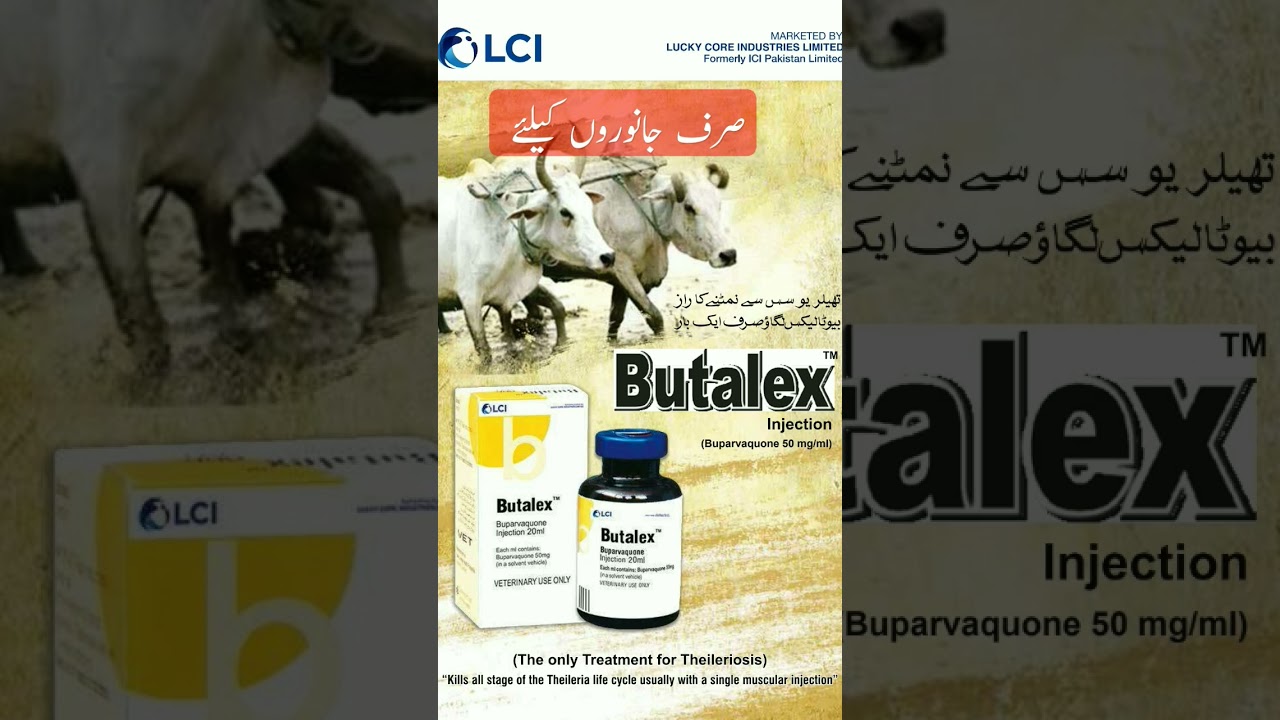 #butalex