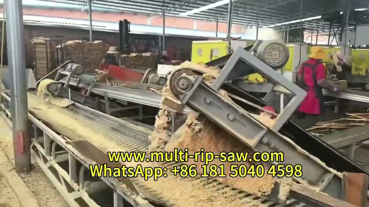 Blockboard Production Line Sawmill Log Multi Blade Saw Multi Rip Saw Wooden Pallets Belt Conveyor