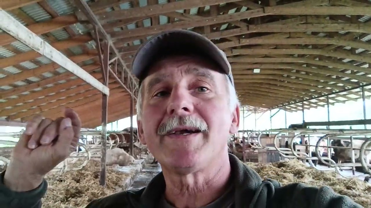 Продавцам мясного молодняка нужны лохи и желательно, чтобы они не заканчивались...